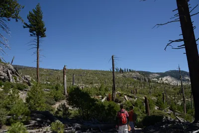 DSC_3782 (Large).JPG